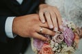 Beautiful shot of the hands of a bride and groom showing their rings - wedding, anniversary Royalty Free Stock Photo