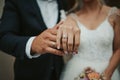 Beautiful shot of the hands of a bride and groom showing their rings - wedding, anniversary Royalty Free Stock Photo