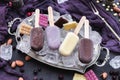 Beautiful shot of home-made vegan icecreams and chocolate bars on ice cubes in a metal plate