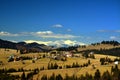 Beautiful shot of houses in a mountain landscape covered with trees in Tihuta pass, Romania