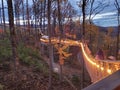 Beautiful shot of an illuminated bridge surrounded by autumn-colored trees