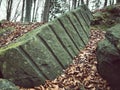 Beautiful shot of an immense mossy stone in a forest