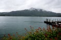 Beautiful shot of a lake with a bridge from a flowery bush with a cloudy mountain as background