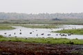 Beautiful shot of lake with green lands on gloomy day in Norfolk UK