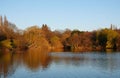 Beautiful shot of a lake in a park with autumn trees in Billericay, Essex, UK