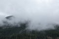 Beautiful shot of a landscape in Washington under a foggy sky