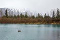 Beautiful shot of a large river with a meadow, firs, and high snowy mountains in Alaska Royalty Free Stock Photo