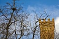 Beautiful shot of a leafless tree with an old tower and a blue sky in the background Royalty Free Stock Photo