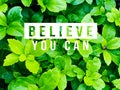Believe you can concept. Royalty Free Stock Photo