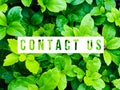 Contact us concept. Royalty Free Stock Photo