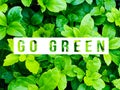 Go Green concept. Royalty Free Stock Photo