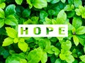 Hope concept. Royalty Free Stock Photo