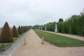 Beautiful shot of the long green alley with sculptures in the gardens of Versailles. Royalty Free Stock Photo