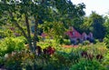 Beautiful shot of the lush green Biltmore Gardens in Asheville, North Carolina