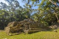 Beautiful shot of the lush nature in Copan Ruinas and its amazing Mayan ruins in Honduras Royalty Free Stock Photo