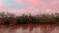 Beautiful shot of Luvuvhu river in flood with autumn trees and cloudy sky at sunset