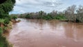Beautiful shot of Luvuvhu river in flood with trees and blue cloudy sky in Limpopo province, Africa