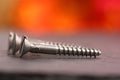 Metal screws Royalty Free Stock Photo