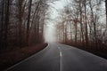 Beautiful shot of a narrow curvy road in the middle of a dark scary forest covered in fog