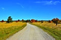 Beautiful shot from the old road facing the fields with colorful trees in autumn