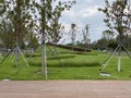 Beautiful shot in the Olympic Sculpture Park in Seattle, Washington Royalty Free Stock Photo