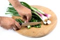 Onion cutting