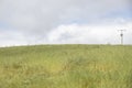 Beautiful shot of an open ground filled with grasses under on a cloudy blue sky Royalty Free Stock Photo