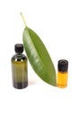Organic massage oil Royalty Free Stock Photo
