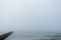 Beautiful shot of a pair of swans in the sea during a foggy weather Royalty Free Stock Photo