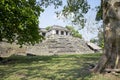 Beautiful shot of Palenque Ruins in Chiapas, Mexico at daytime Royalty Free Stock Photo