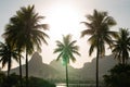 Beautiful shot of palm trees at Lagoa in Rio de Janeiro with Dois Irmaos in the background