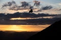 Beautiful shot of a paraglider silhouette flying over Monte Cucco Umbria, Italy with sunset on the background, with Royalty Free Stock Photo