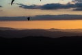 Beautiful shot of a paraglider silhouette flying over Monte Cucco Umbria, Italy with sunset on the background, with Royalty Free Stock Photo