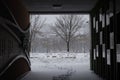 Beautiful shot of a park covered in white snow in the winter in Shenyang, China