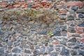 Beautiful shot of a part of a stone wall