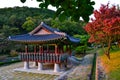 Beautiful shot of a pavilion of traditional Korean architecture in a park in Daejeon, South Korea.