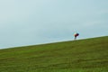 Beautiful shot of a person standing in a green field and holding a colorful umbrella Royalty Free Stock Photo