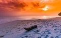 Stunning Sunset Shot at radhanagar beach havelock Island India