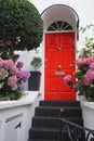 Beautiful shot of a red wooden front door of a white house with flowers and plants nearby