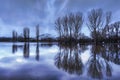 Beautiful shot the reflection of dry leafless trees on the water under a gray cloudy sky Royalty Free Stock Photo