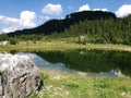 Beautiful shot of a reflection of trees on a mountain landscape in the calm lake Royalty Free Stock Photo