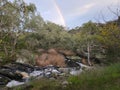 Beautiful shot of a river in the forest with a rainbow in a cloudy sky Royalty Free Stock Photo