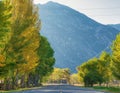 Beautiful shot of a road through a lush park near mountains in Gardnerville, Nevada Royalty Free Stock Photo