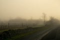 Beautiful shot of a road in a small village in France during a deep morning fog Royalty Free Stock Photo