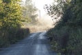 Beautiful shot of the road surrounded by trees in Dolman Ridge Road area near Ottawa, Canada Royalty Free Stock Photo