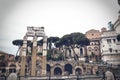 Beautiful shot of the ruined Temple of Venus Genetrix and the surrounding iconic trees, Rome, Italy.