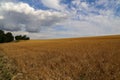 Beautiful shot of rural landscape with harvested wheat fields under the blue cloudy sky Royalty Free Stock Photo