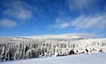 Beautiful shot of a rural territory in a snowy forest landscape