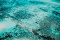 Beautiful shot of seafloor with breathtaking textures- great for a unique background or wallpaper