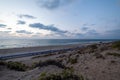 Beautiful shot of a seashore with plants growing in the sand under the cloudy sky Royalty Free Stock Photo